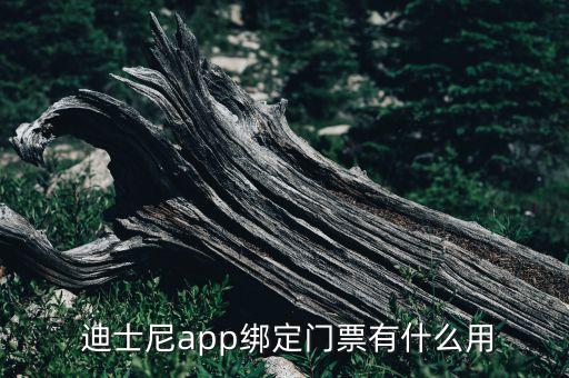  迪士尼app綁定門票有什么用