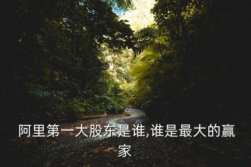 阿里的股權(quán)投資,阿里拍賣(mài)的股權(quán)可以買(mǎi)嗎