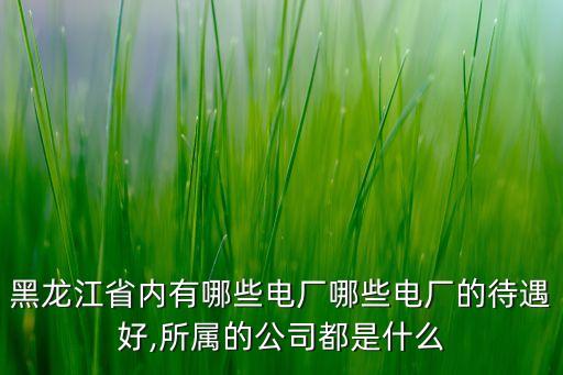 黑龍江省內有哪些電廠哪些電廠的待遇好,所屬的公司都是什么