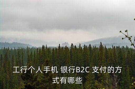 工行個人手機 銀行B2C 支付的方式有哪些