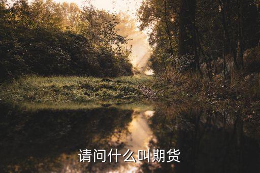 請(qǐng)問(wèn)什么叫期貨