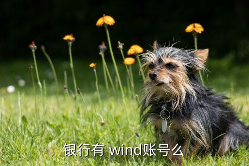 銀行有 wind賬號(hào)么