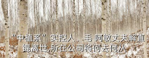 “中植系”實(shí)控人、毛 阿敏丈夫解直錕離世,所在公司將何去何從