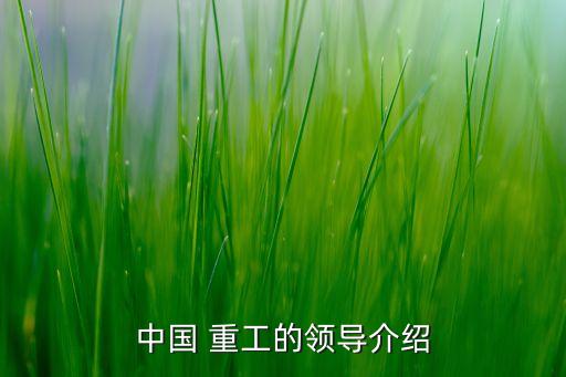 中國(guó) 重工的領(lǐng)導(dǎo)介紹