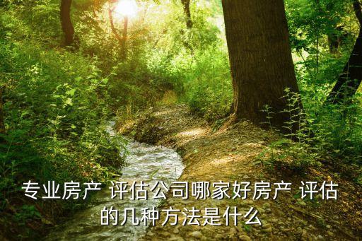 上海富申評(píng)估咨詢(xún)集團(tuán)有限公司怎么樣