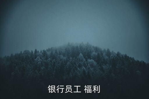 中國(guó)農(nóng)業(yè)銀行的薪資福利