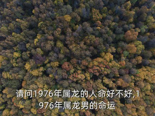 請問1976年屬龍的人命好不好,1976年屬龍男的命運