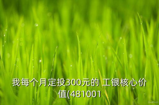 我每個(gè)月定投300元的 工銀核心價(jià)值(481001