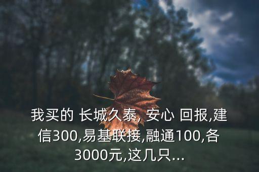 我買的 長城久泰, 安心 回報,建信300,易基聯接,融通100,各3000元,這幾只...