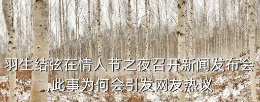 羽生結(jié)弦在情人節(jié)之夜召開(kāi)新聞發(fā)布會(huì),此事為何會(huì)引發(fā)網(wǎng)友熱議