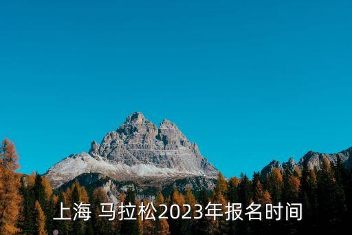  上海 馬拉松2023年報名時間