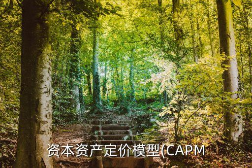 資本資產定價模型(CAPM