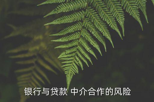  銀行與貸款 中介合作的風(fēng)險