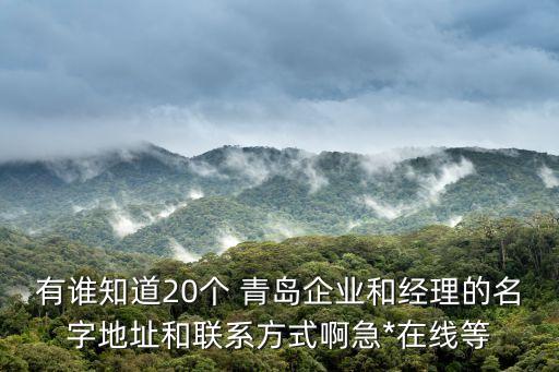 有誰知道20個 青島企業(yè)和經(jīng)理的名字地址和聯(lián)系方式啊急*在線等