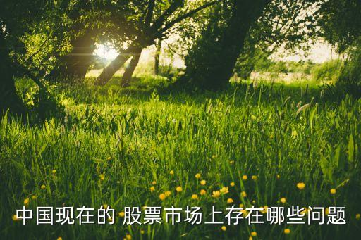 中國現(xiàn)在的 股票市場上存在哪些問題