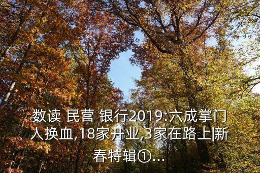 數讀 民營 銀行2019:六成掌門人換血,18家開業(yè),3家在路上|新春特輯①...