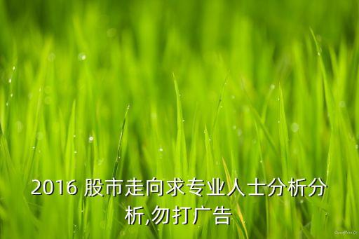 2016 股市走向求專業(yè)人士分析分析,勿打廣告