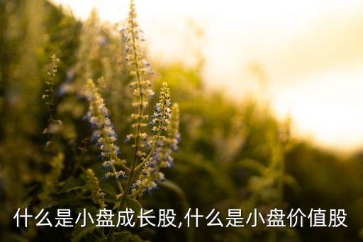 維爾利股票怎么樣,石家莊維爾利集團怎么樣