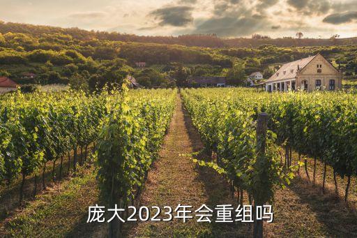  龐大2023年會重組嗎