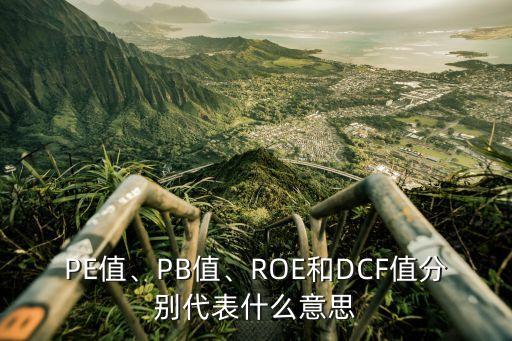 PE值、PB值、ROE和DCF值分別代表什么意思