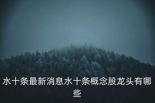 水十條最新消息水十條概念股龍頭有哪些