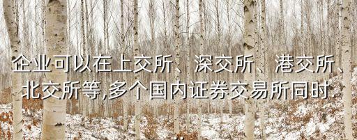 企業(yè)可以在上交所、深交所、港交所、北交所等,多個(gè)國(guó)內(nèi)證券交易所同時(shí)...