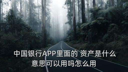  中國(guó)銀行APP里面的 資產(chǎn)是什么意思可以用嗎怎么用