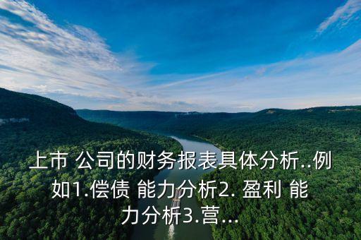 上市 公司的財務(wù)報表具體分析..例如1.償債 能力分析2. 盈利 能力分析3.營...