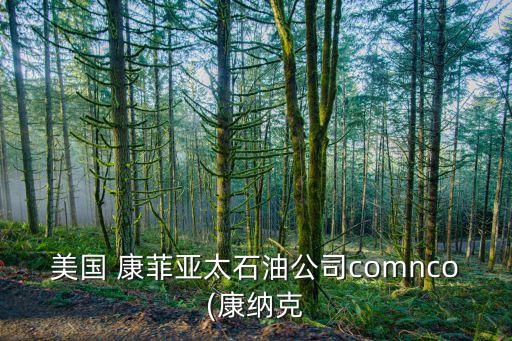 美國 康菲亞太石油公司comnco(康納克