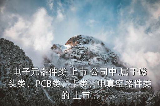 電子元器件類 上市 公司中,屬于磁頭類、PCB類、卡類、電真空器件類的 上市...