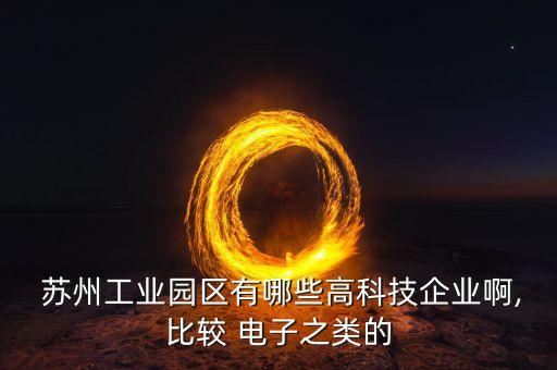  蘇州工業(yè)園區(qū)有哪些高科技企業(yè)啊,比較 電子之類的