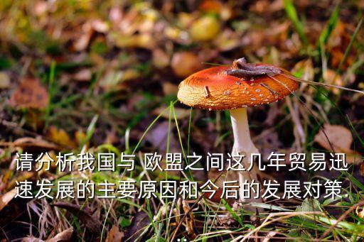 請分析我國與 歐盟之間這幾年貿(mào)易迅速發(fā)展的主要原因和今后的發(fā)展對策...