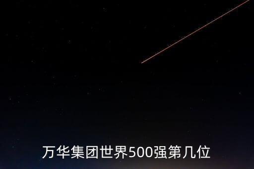 萬華集團世界500強第幾位