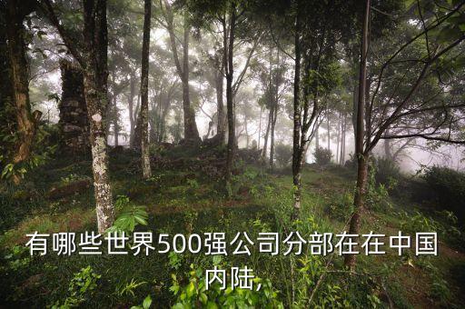 有哪些世界500強(qiáng)公司分部在在中國內(nèi)陸,