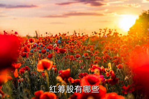 安莉芳控股有限公司,濟(jì)南安莉芳服裝有限公司