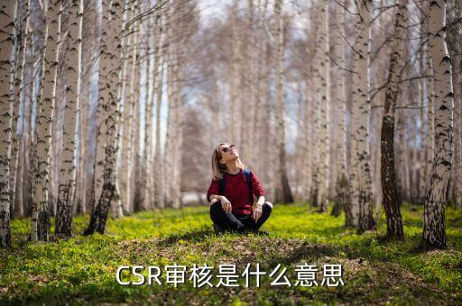 CSR審核是什么意思