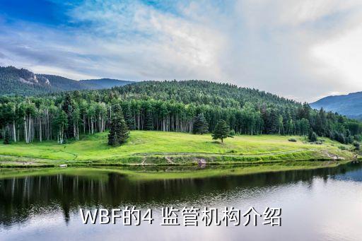 WBF的4 監(jiān)管機構(gòu)介紹