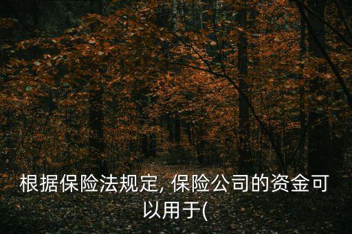 保險(xiǎn)公司投資債券