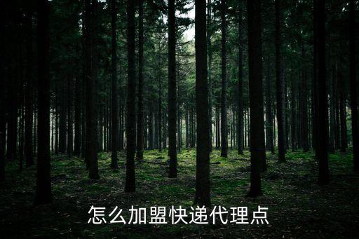 北京石創(chuàng)擔保服務(wù)有限公司