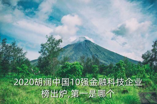 2020胡潤(rùn)中國(guó)10強(qiáng)金融科技企業(yè)榜出爐,第一是哪個(gè)