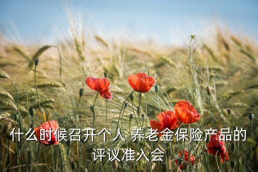 什么時(shí)候召開個(gè)人 養(yǎng)老金保險(xiǎn)產(chǎn)品的評(píng)議準(zhǔn)入會(huì)