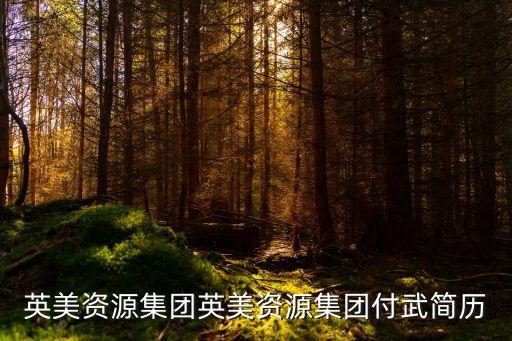 英美資源集團(tuán)英美資源集團(tuán)付武簡(jiǎn)歷