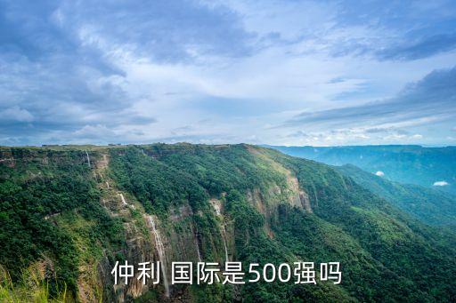 仲利 國際是500強(qiáng)嗎