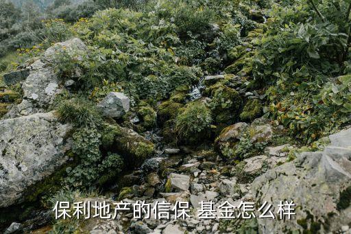 寧聚穩(wěn)進私募基金,寧聚映山紅1號私募基金