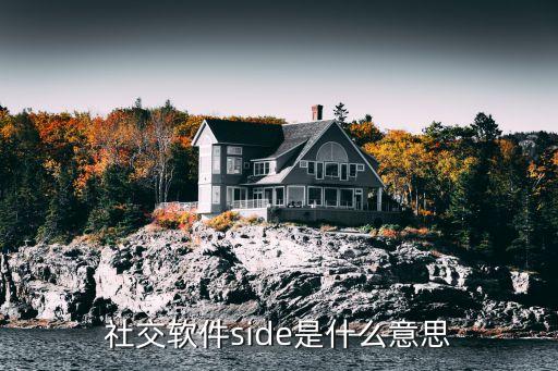 社交軟件side是什么意思