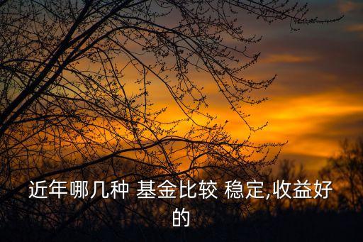 最穩(wěn)定基金,穩(wěn)定基金單獨(dú)買(mǎi)好還是多點(diǎn)買(mǎi)好