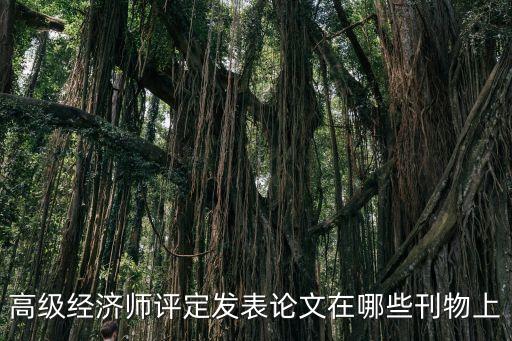 高級經(jīng)濟(jì)師評定發(fā)表論文在哪些刊物上