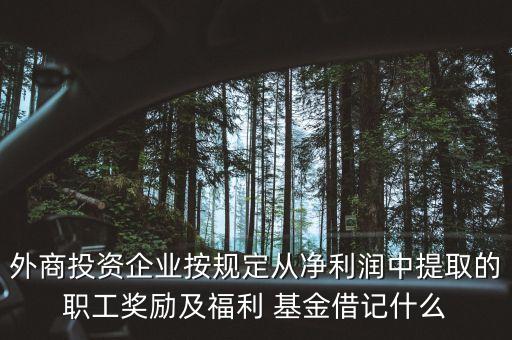 外商投資企業(yè)按規(guī)定從凈利潤中提取的職工獎勵及福利 基金借記什么