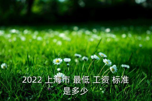 2022 上海市 最低 工資 標(biāo)準(zhǔn)是多少