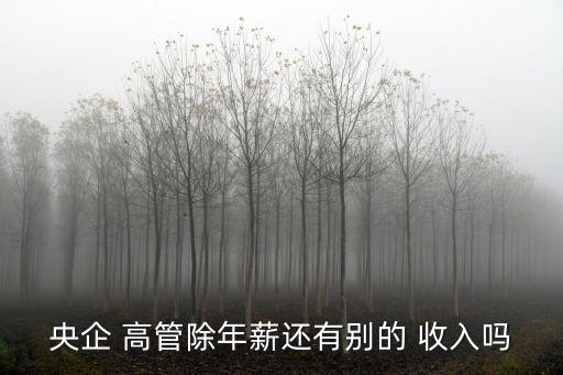 央企 高管除年薪還有別的 收入嗎